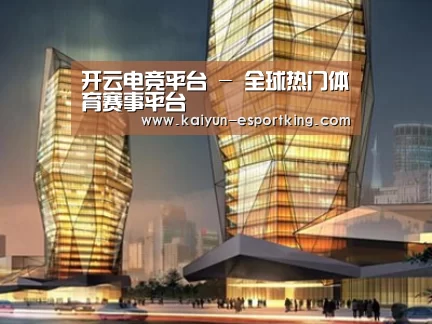 案例展示三