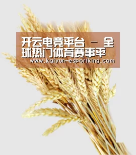 开云电竞平台 - 全球热门体育赛事平台
