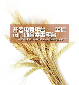 开云电竞平台 - 全球热门体育赛事平台