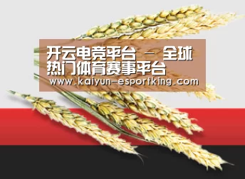 开云电竞平台 - 全球热门体育赛事平台