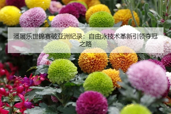 潘展乐世锦赛破亚洲纪录：自由泳技术革新引领夺冠之路