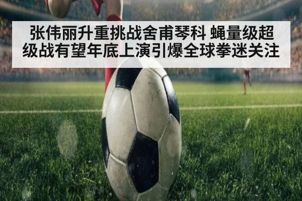 张伟丽升重挑战舍甫琴科 蝇量级超级战有望年底上演引爆全球拳迷关注