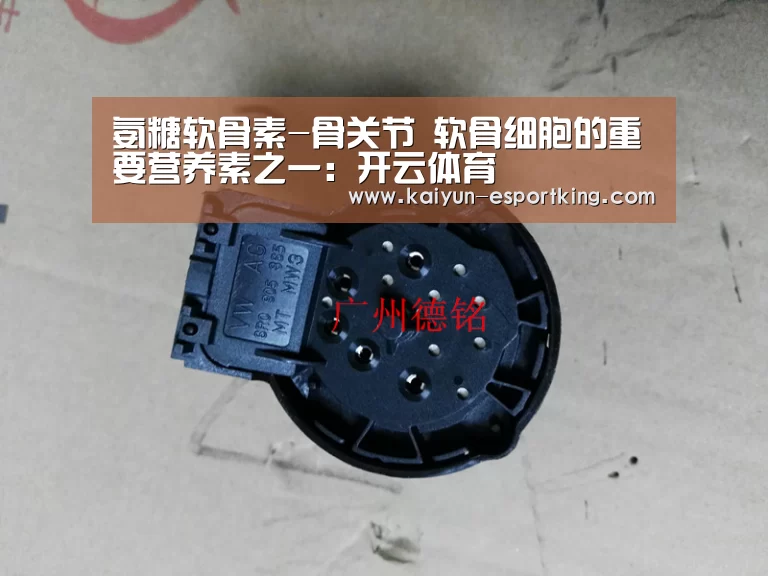 开云足球