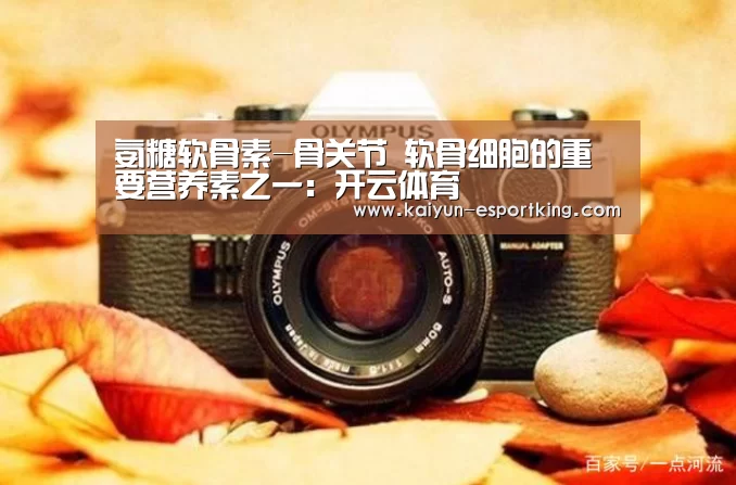 开云篮球